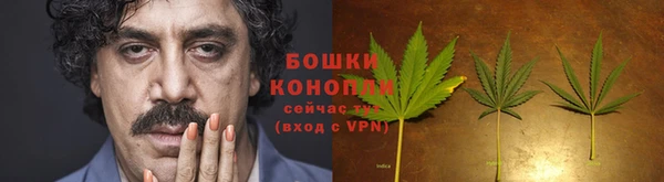 соль ск Медногорск