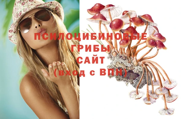 метамфетамин Дмитров