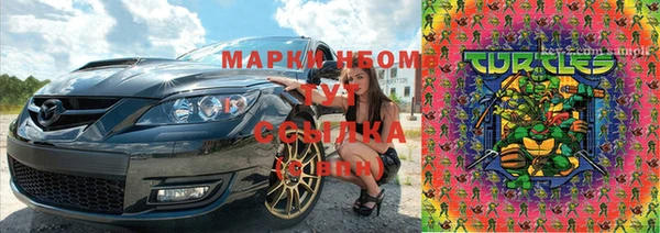 соль ск Медногорск