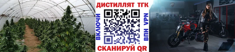 наркота  Дудинка  ТГК вейп 